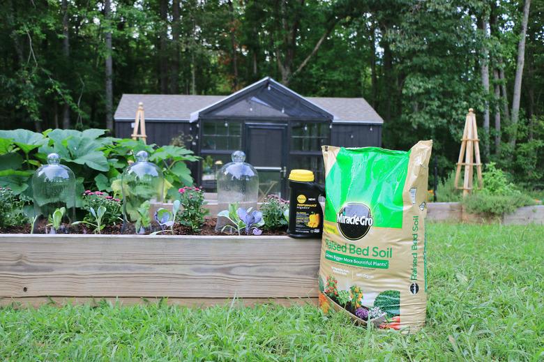 fall vegetable garden raised bed