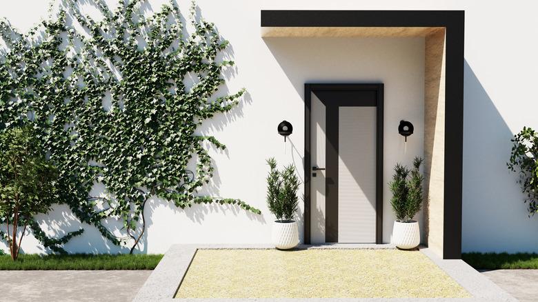 New house, white with black trim; wall covered with English ivy. Stock photo.