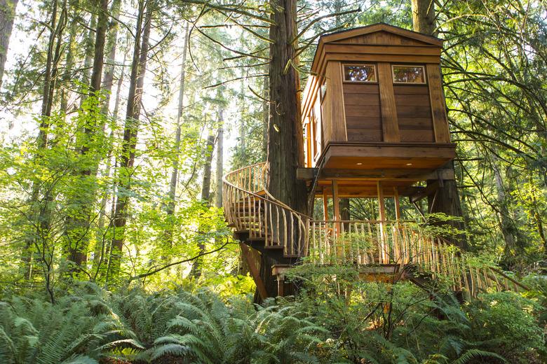 Remote tree house in forest