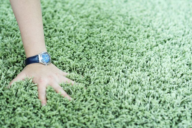 Shaggy carpet and watch