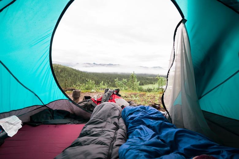 natural view from inside a blue tent