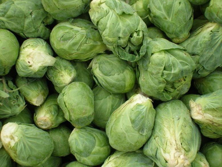 Brussels sprouts