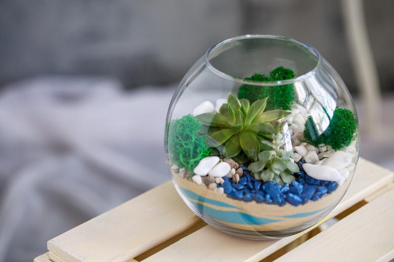 Terrarium with flowers in home and office interiors.