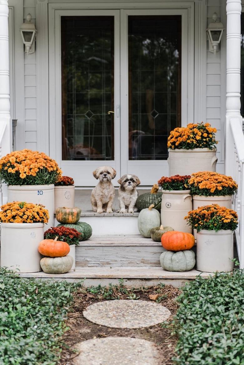 crock pots full of mums