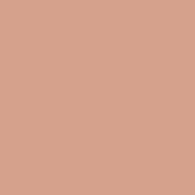 Dutch Boy Native Copper paint swatch