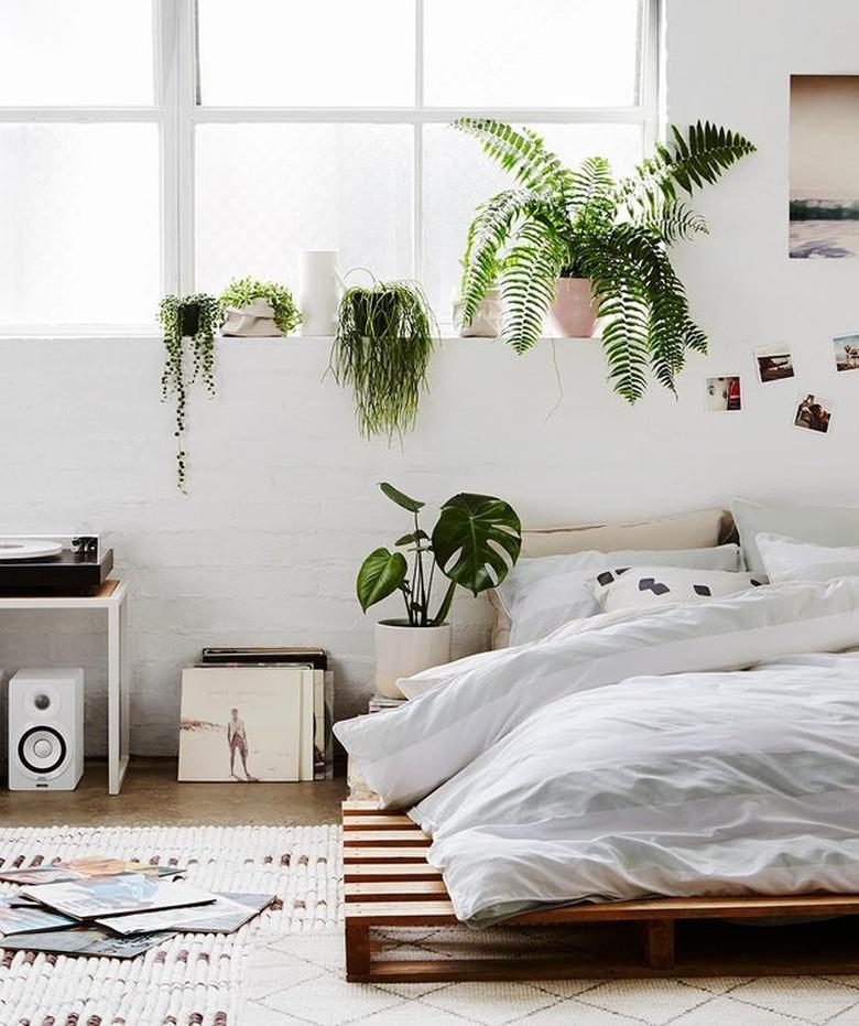 plant-filled bedrooms