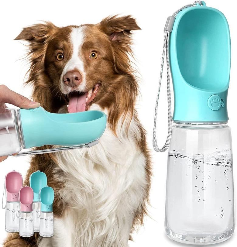 Kalimdor Dog Water Bottle