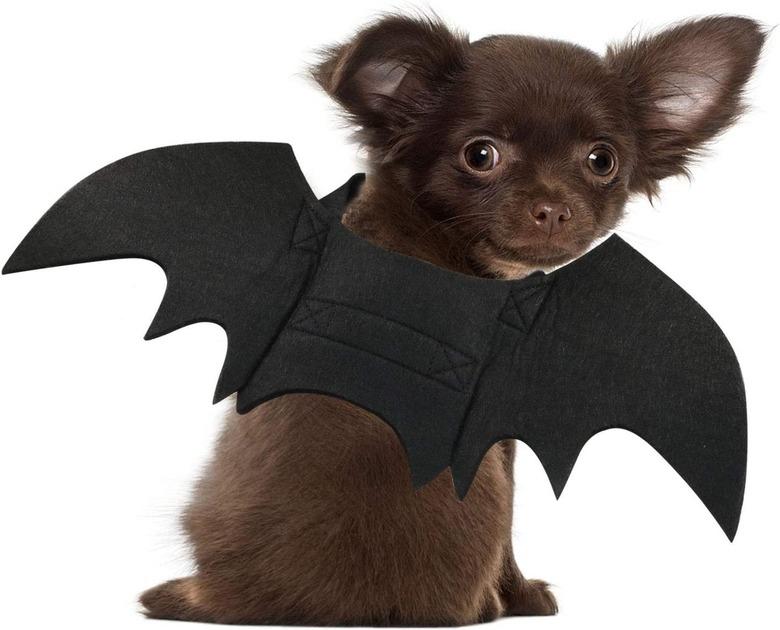 Rypet Bat Pet Costume