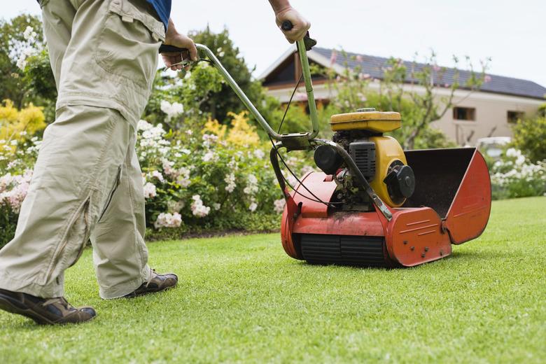 Man mowing lawn