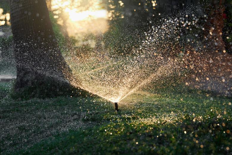 Closeup of automatic lawn irrigation system.