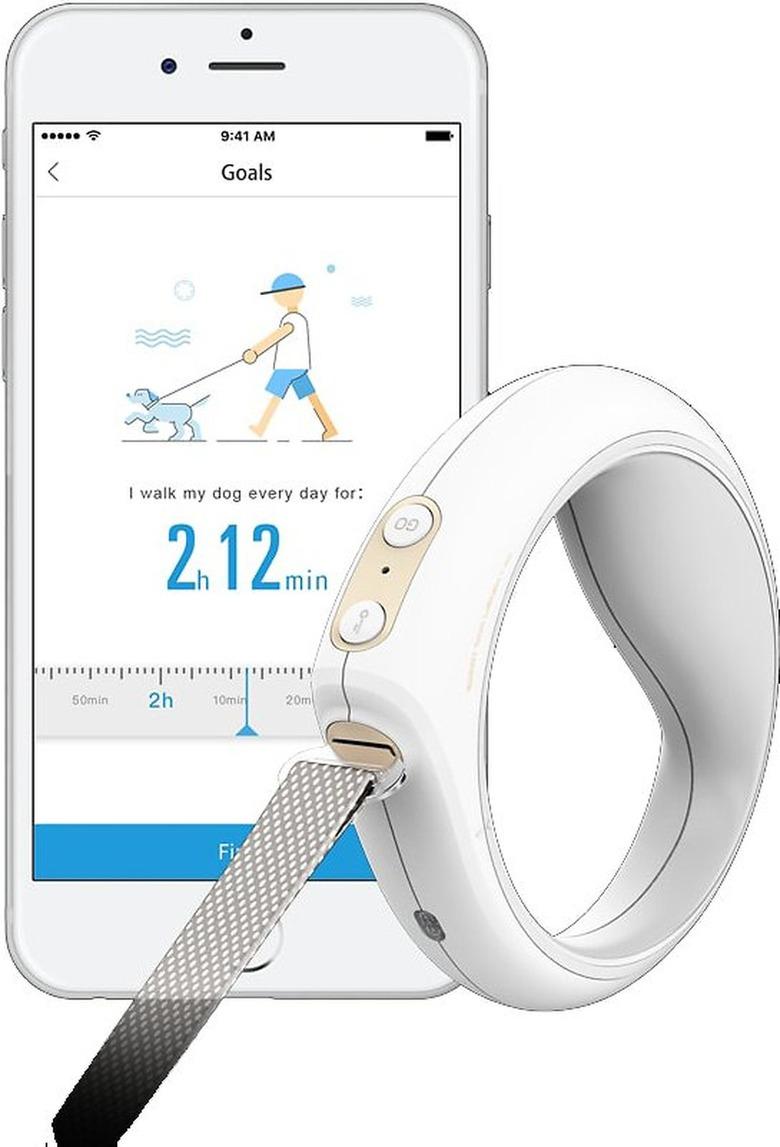 image of  white smart pet leash with white smartphone