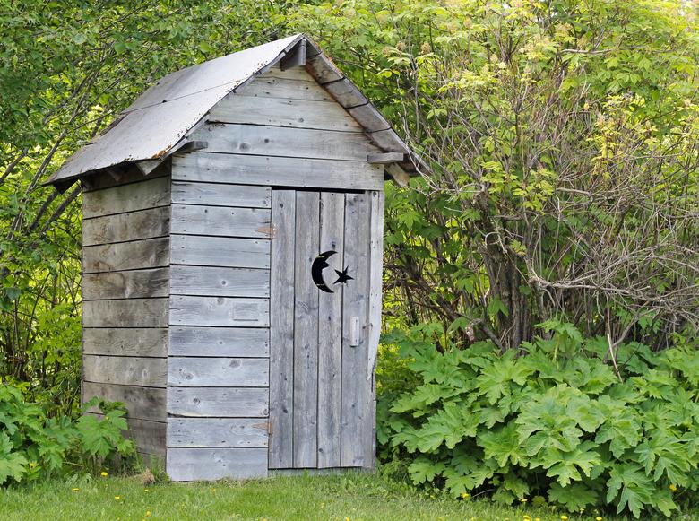 An outhouse can either be a vaulted toilet or a pit toilet