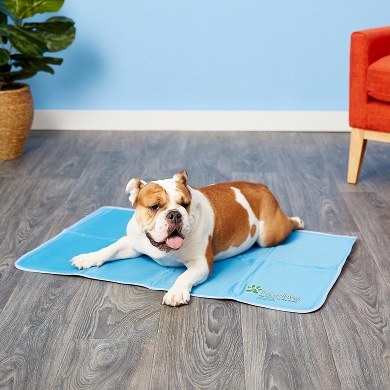 ways to keep pet cool dog cooling pad