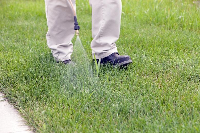 Lawn Care Worker Sprays Crabgrass