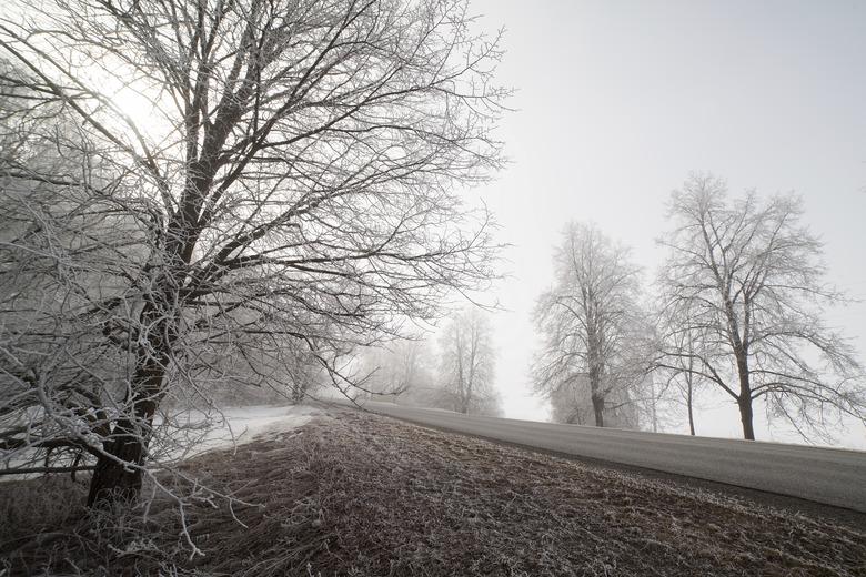 Foggy winter morning.