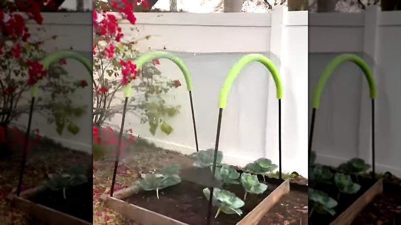 DIY garden arch made of broomsticks, pool noodles, and chicken wire