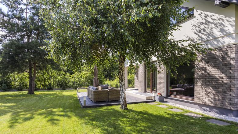 a backyard with patio set, shade, and trees