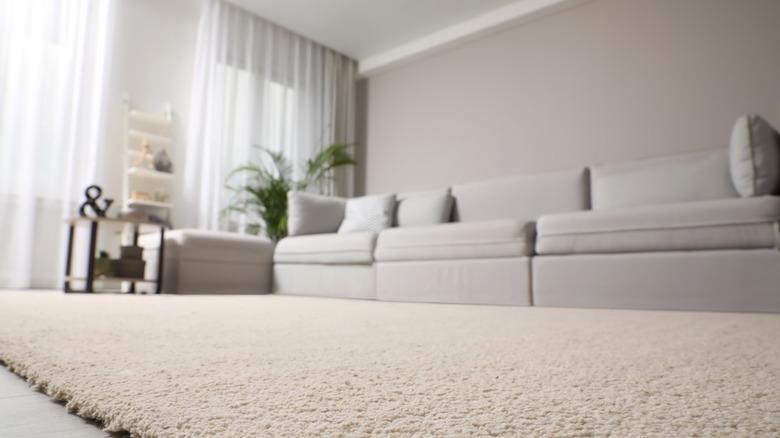 grayscale living room with a carpet, plant, and sofa