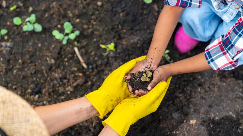 child and adult preparing to plant a seedling in soil