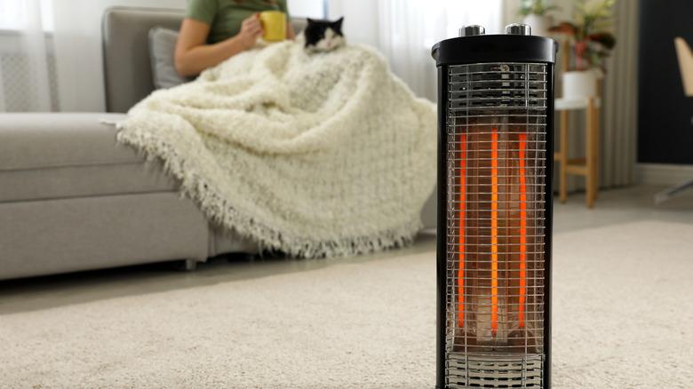 Woman and cat with heater