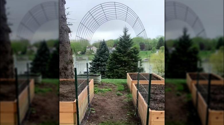 cattle panel trellis DIY