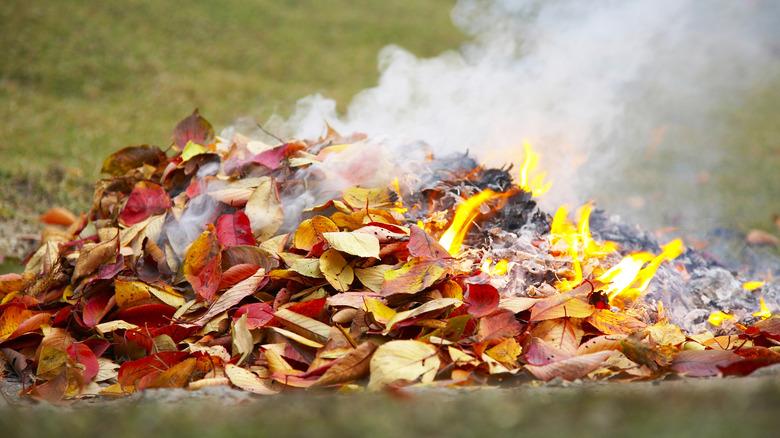 Burning pile of leaves in the yard in the daytime