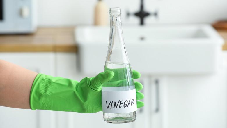 A green-gloved hand holding a bottle of white vinegar