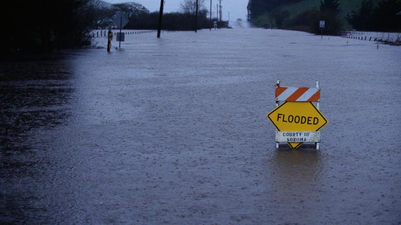 A street covered with water and rain currently falling. There is a yellow "flooded" sign keeping cars away.