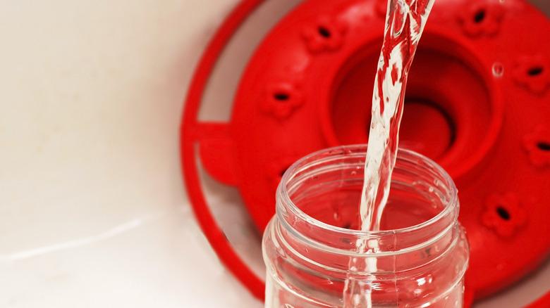 filling a hummingbird feeder with sugar solution