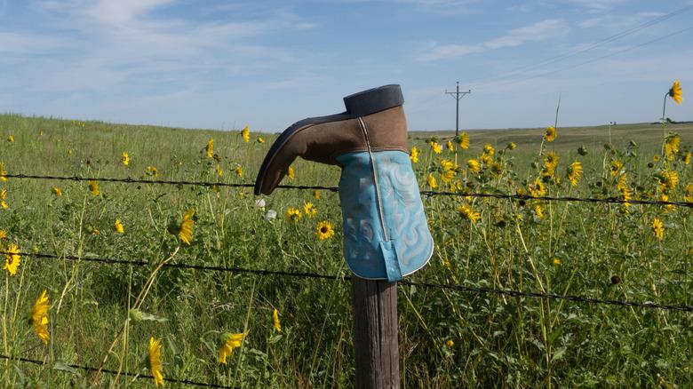 cowboy boot on a fencepost with yellow flowers