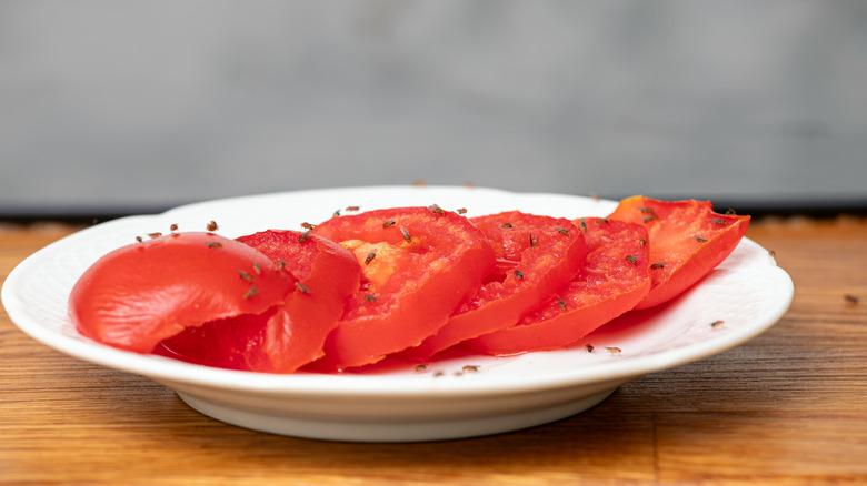 Lot of fruit flies on slices of tomatoes on a white plate