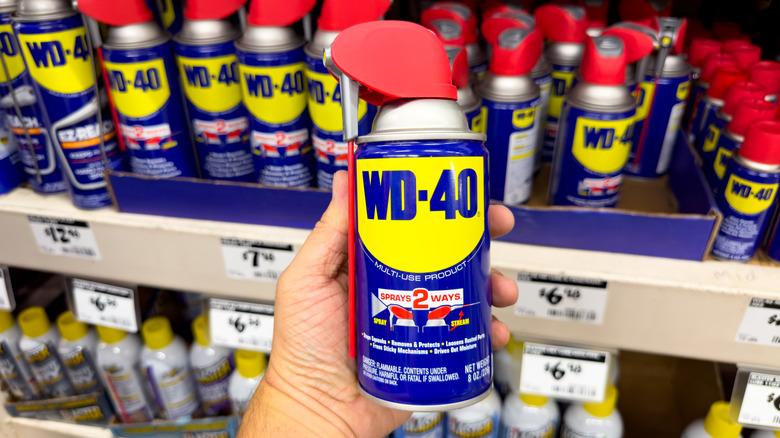 A hand holding a can of WD-40