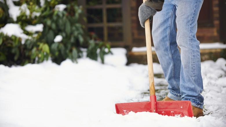 Red snow shovel in a yard