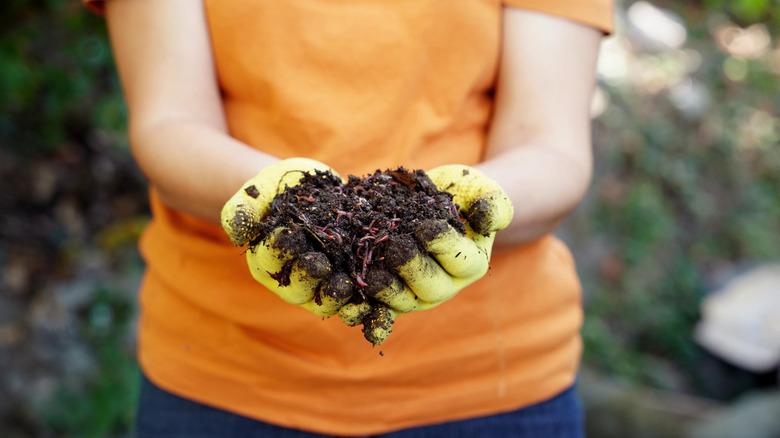 woman with gloves holding earthworms