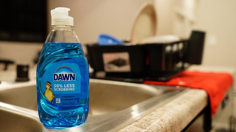 Dawn dish soap