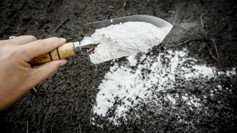 adding dolomitic limestone to soil