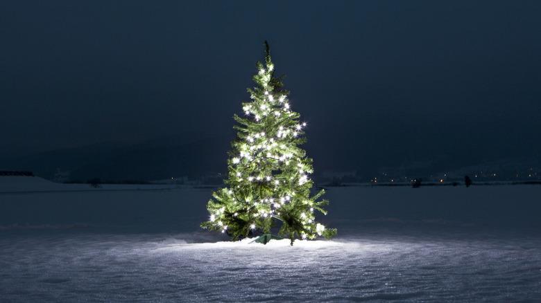 pine tree with lights in a snowy feild