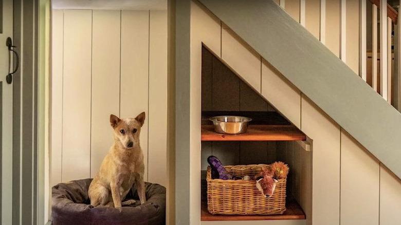 dog station under stairs