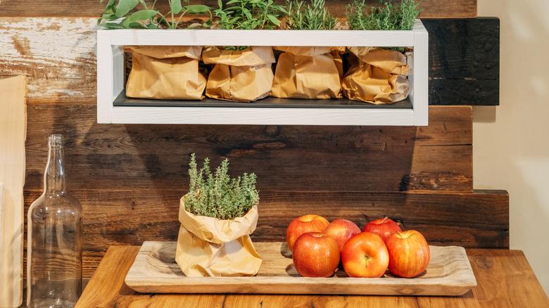 herb garden on kitchen wall