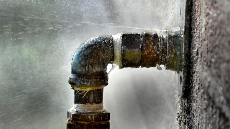 An outdoor faucet that has sprung a leak.