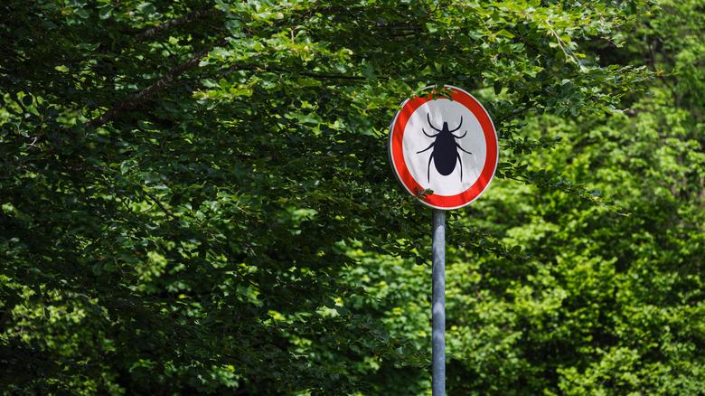 large tick warning sign in front of trees