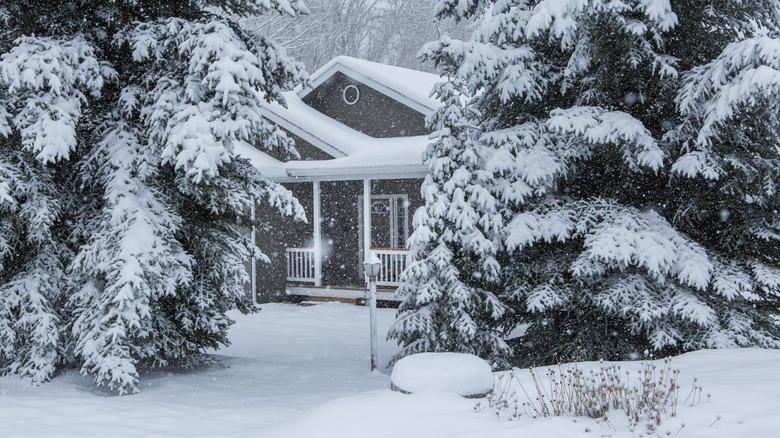 A snow-covered house and lawn during active snowfall. The yard is surrounded by snow-covered trees.