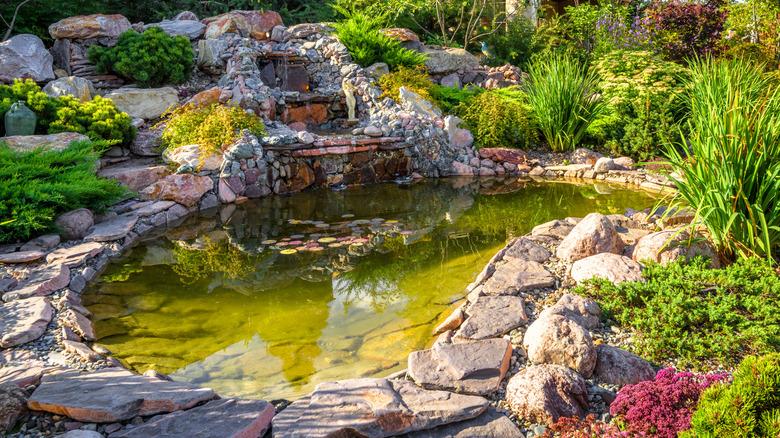 backyard with large pond and waterfall