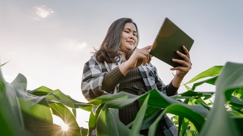 Asian woman standing in garden holding tablet