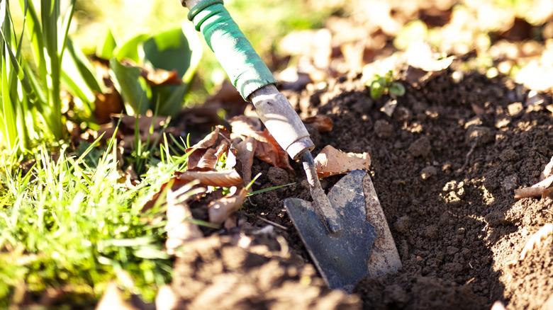 Gardening shovel in dirt