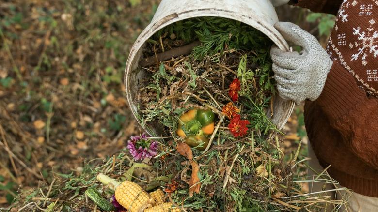 scraps pouring out of bucket into compost pile