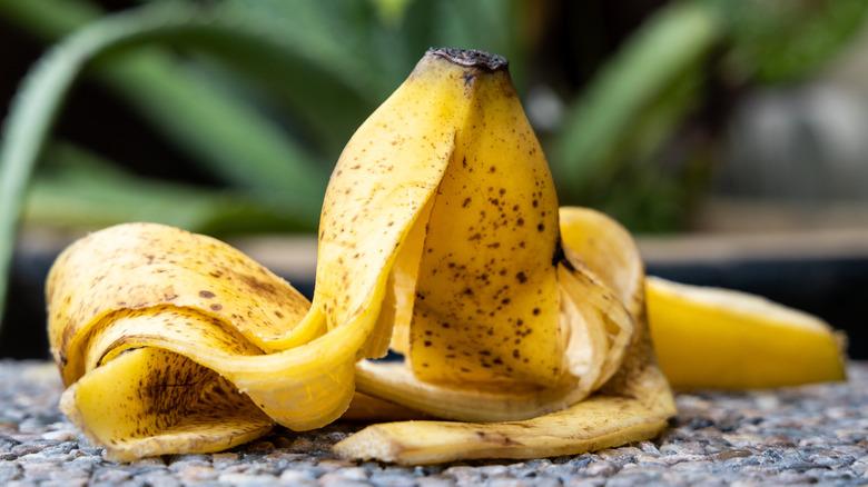 banana peel near a garden