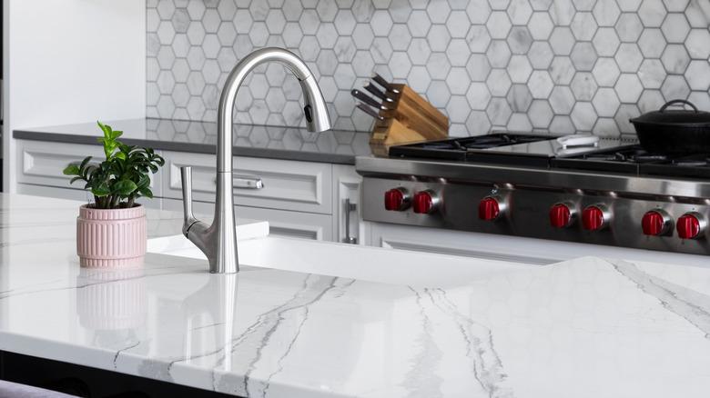 quartz kitchen island countertop with brushed nickel faucet and potted plant