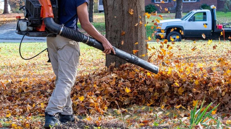 A yard worker is wearing a leaf blower on his back, blowing a pile of yellow leaves with a landscaping truck in the background.