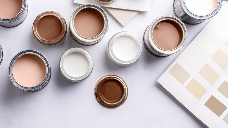 sample cans of beige and white paint with color swatches